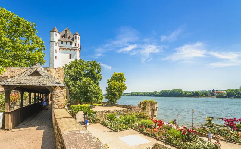Electoral castle with rose garden in Eltville