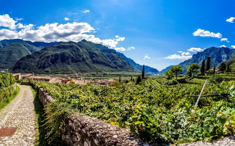 Adige cycle path