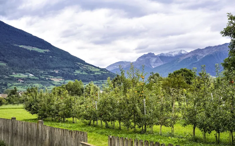 Landscape near Glurns