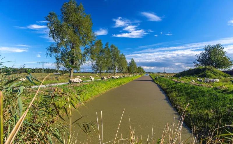 Border river Germany-Poland on Usedom