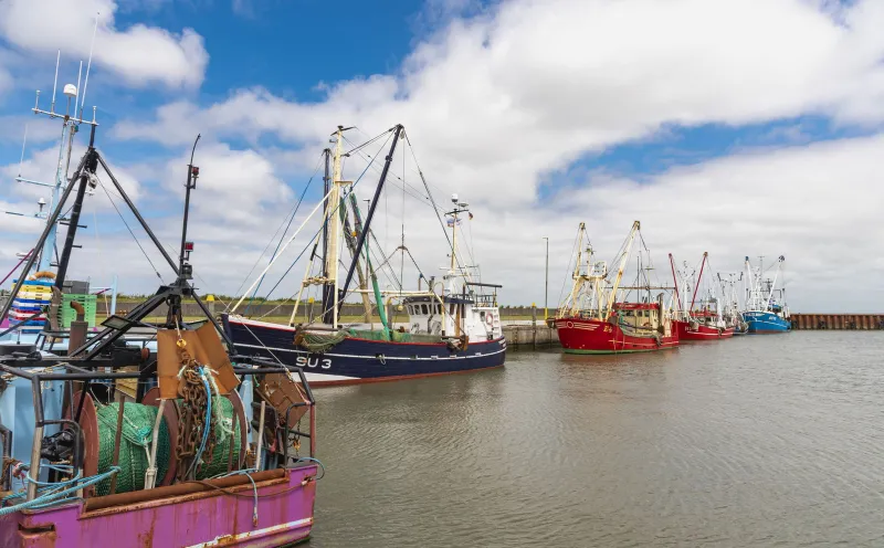 Havneby harbor