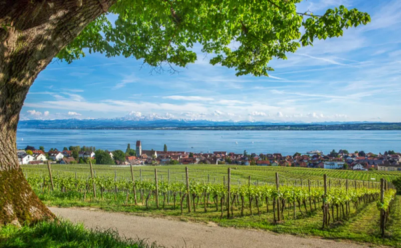 Hagnau on Lake Constance, with a view of the Alps