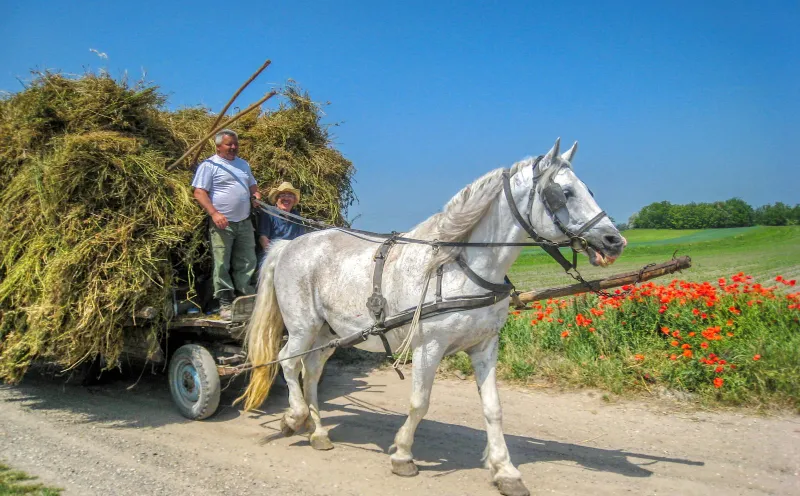 Hungary - a journey through time