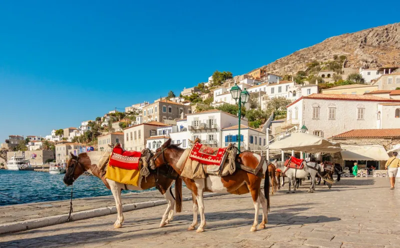 Hydra Island