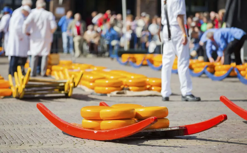 Cheese Alkmaar