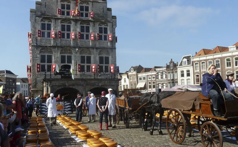 Cheese market in Gouda