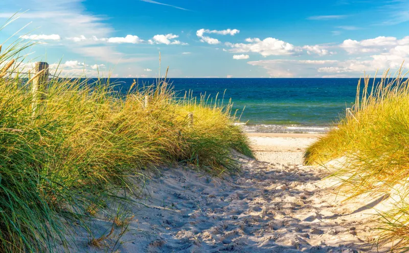 Beach, Kühlungsborn