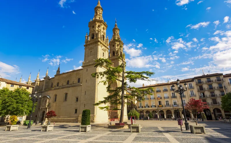 Santa Maria de la Redonda in Logrono