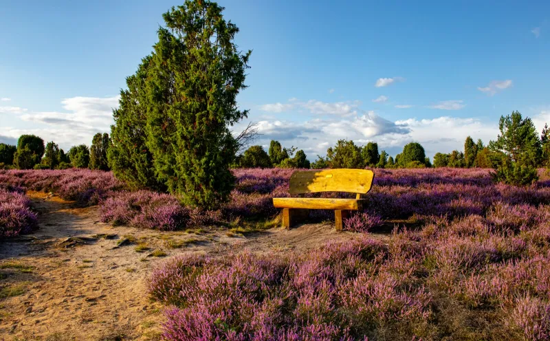Bank Lüneburg Heath