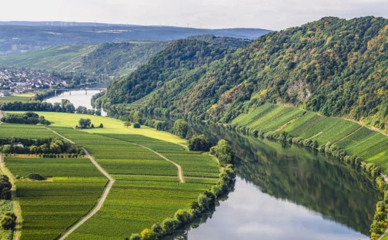 Moselle, Neumagen-Dhron
