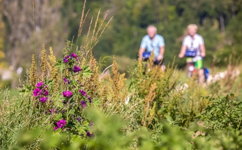Nature Along the Danube