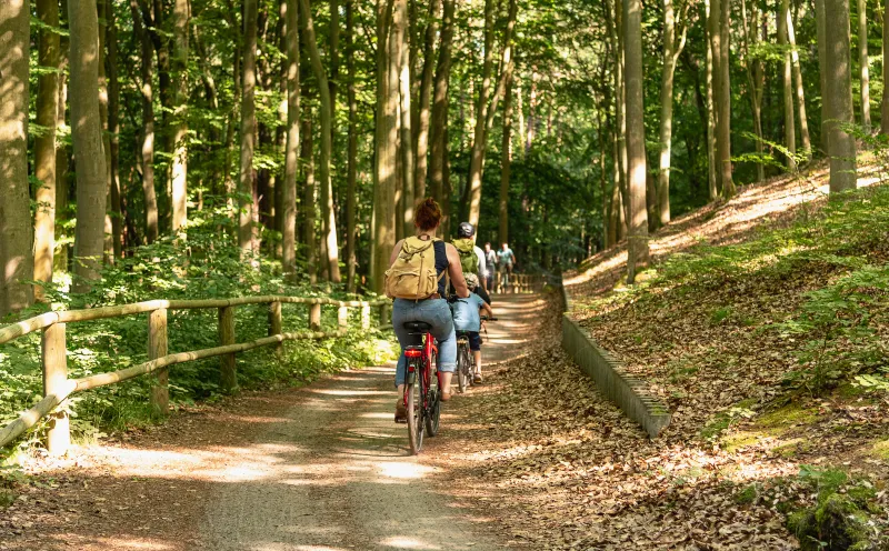 Cyclist, Forest, Usedom