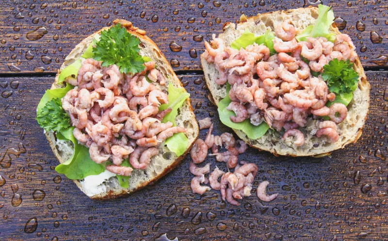 North Sea crabs
