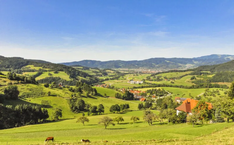 Oberried landscape