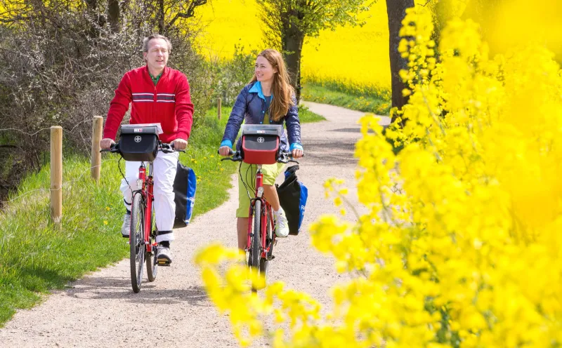 Cyclist, North Frisia, Rape, Cycle path