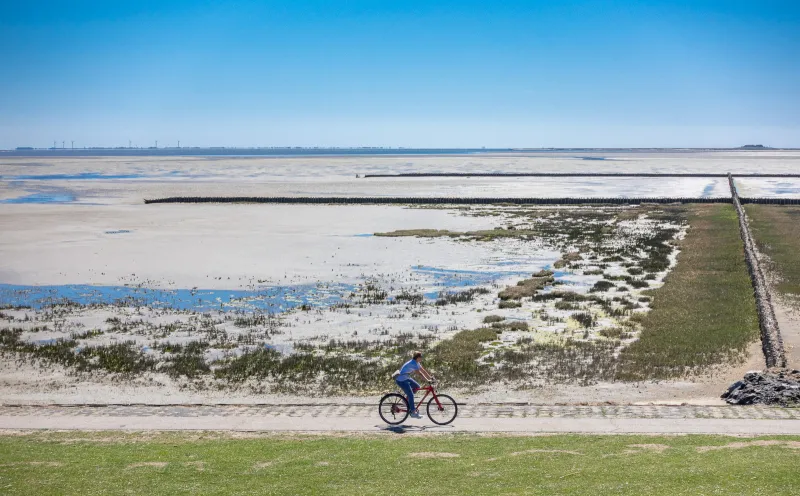 Cyclist, Schlüttsiel, Wadden Sea