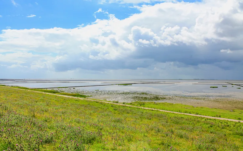 near Niebüll, Wadden Sea