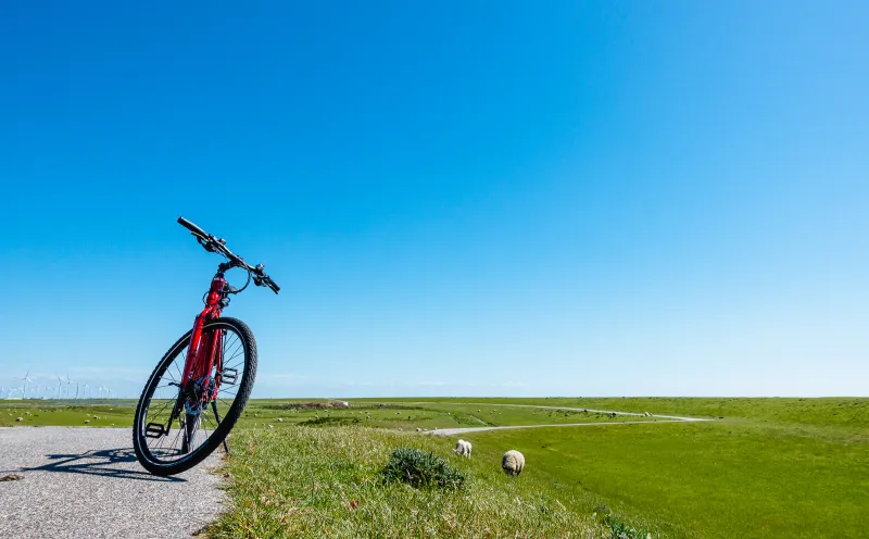 Bike, dike, Schlüttsiel, sheep