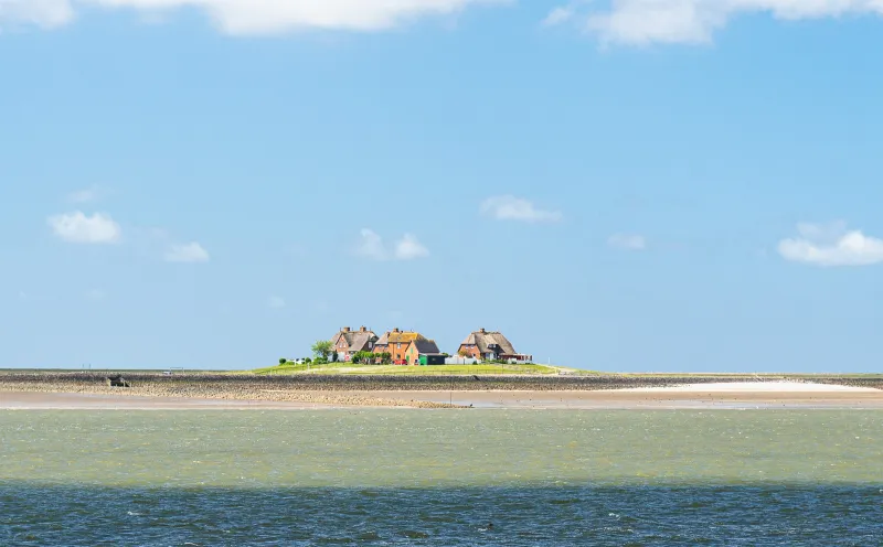 Hallig Langeneß, North Sea