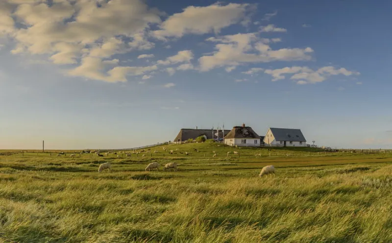 Hamburger Hallig, Landscape