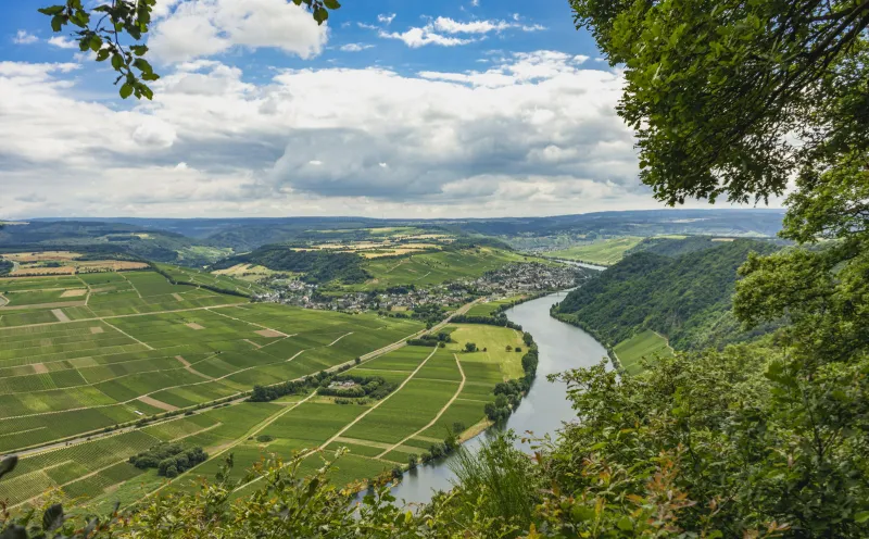 Moselle Piesport