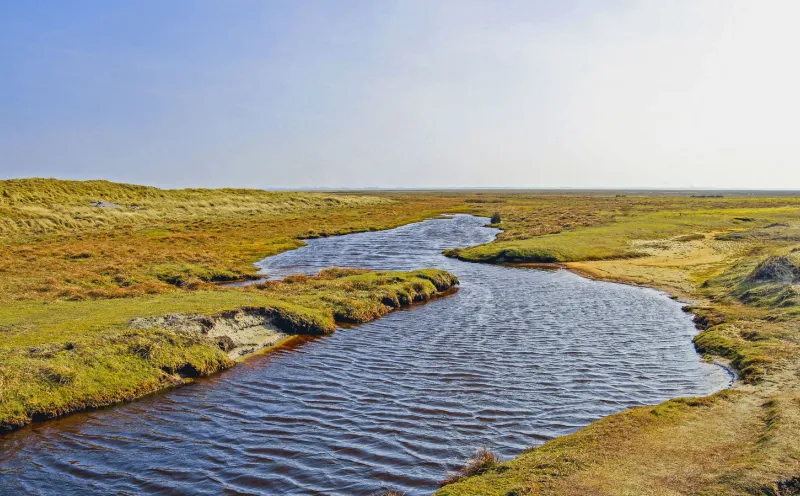 Priel and salt marsh on Norderney