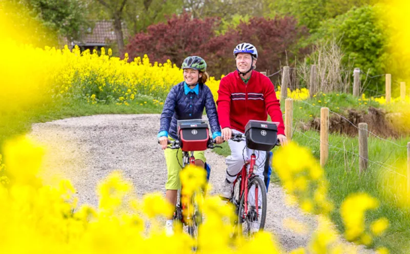 Cycle tour in the green inland