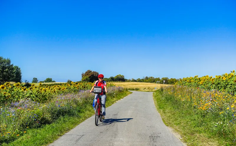 Cyclist, cycle path to Åbenrå