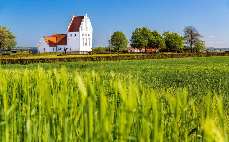 Church, Rinkenæs Sogn, fields