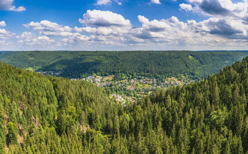 Sommerberg Bad Wildbad