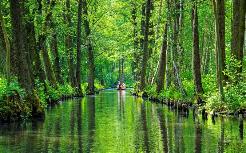 Spreewald