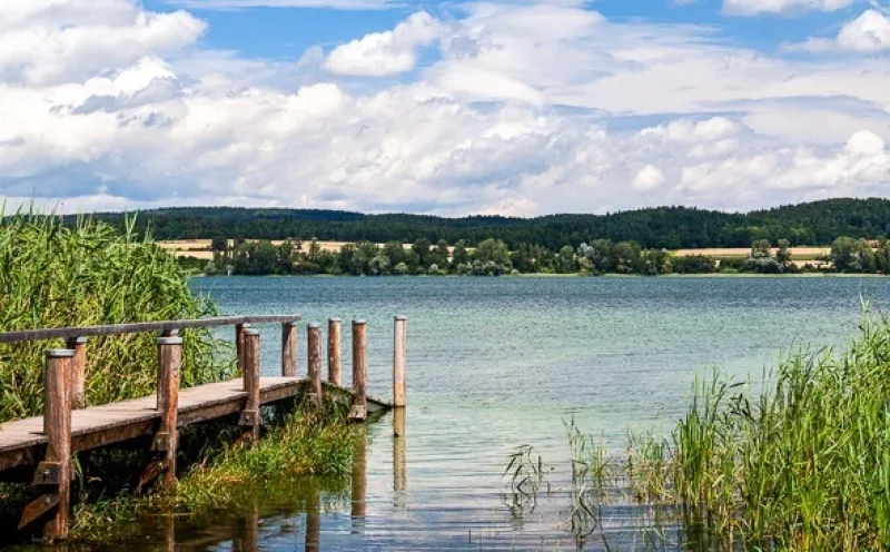 Reichenau footbridge