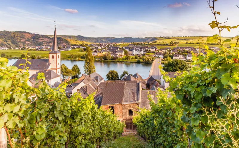 Piesport, vineyards, Moselle