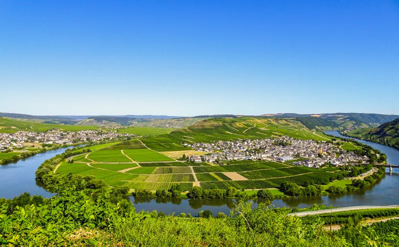 The Moselle loop in Leiwen