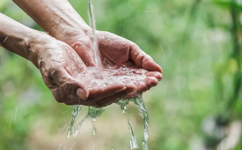 Main spring, hands, nature