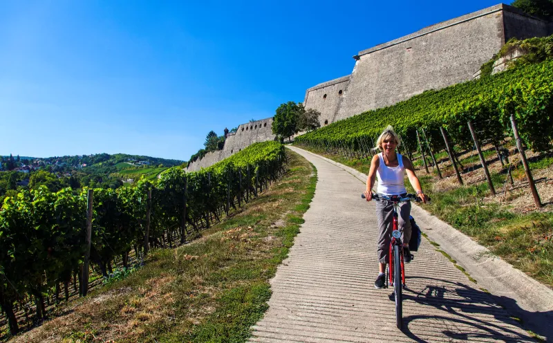 Würzburg, cycle path, cyclist, vineyard