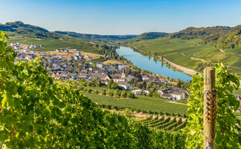 Nittel, vineyard, Moselle