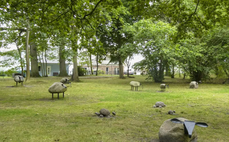 Breeger stone sheep