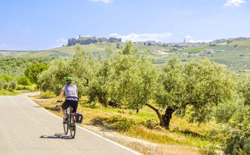 Cycling in Andalusia