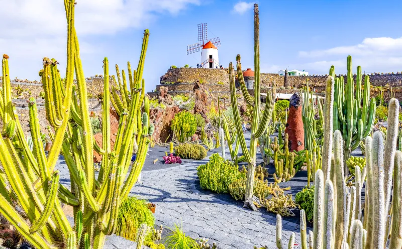 Jardín de Cactus