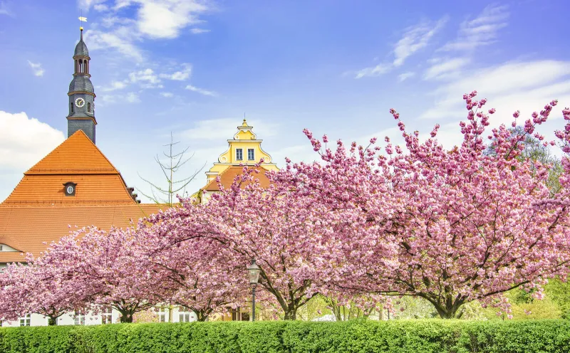 Radreisen im Frühling