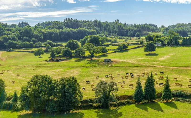 View from Pambre Castle