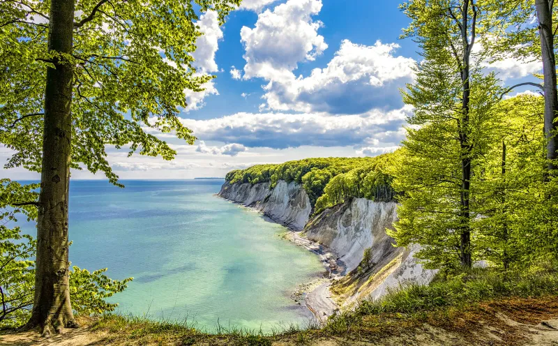 Königsstuhl chalk cliffs - Rügen