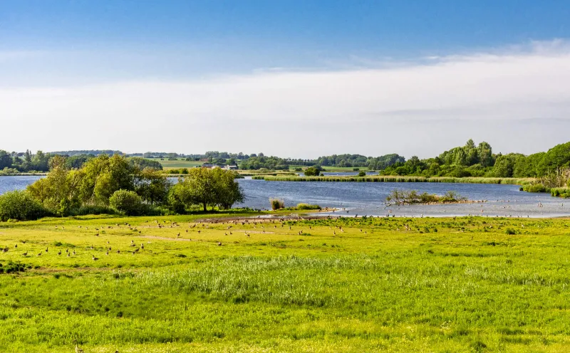 Zealand Roskilde Fjord