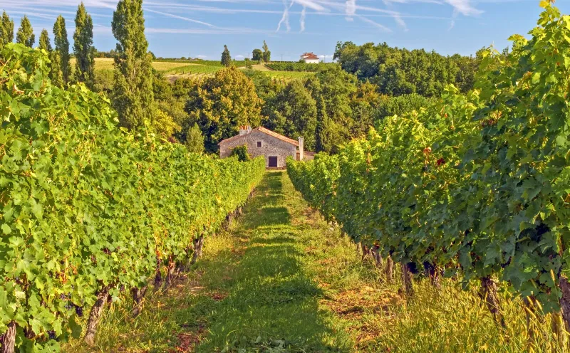 Entre-Deux-Mers wine region 
