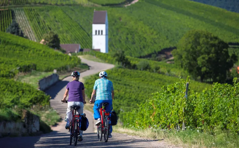 Radler Vineyard France