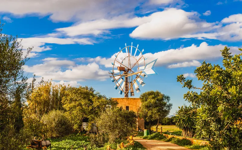 Traditional windmill
