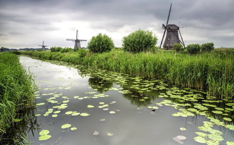 Windmills of Kinderdijk
