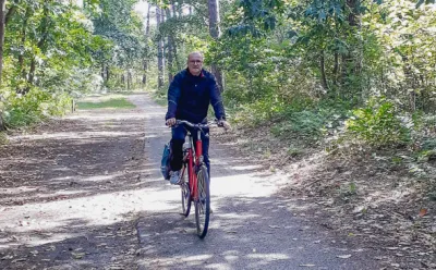 Cycle path through Dutch forests