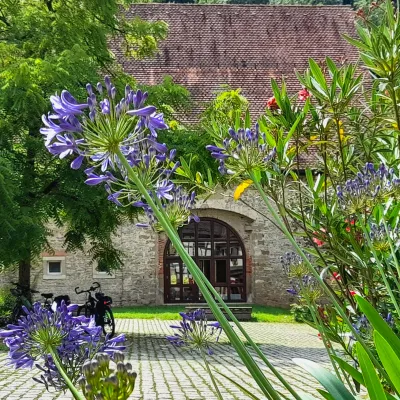 Schönau Monastery